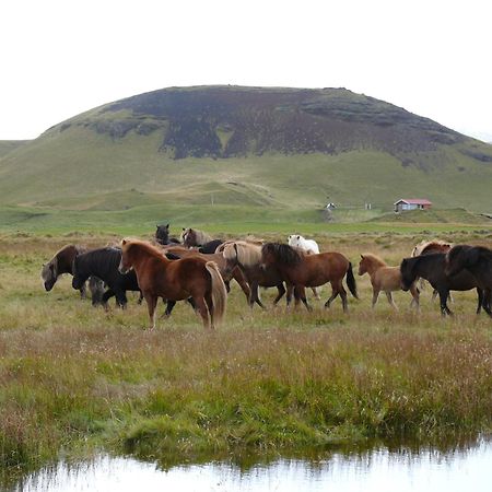 Guesthouse Vellir Vík Exteriér fotografie